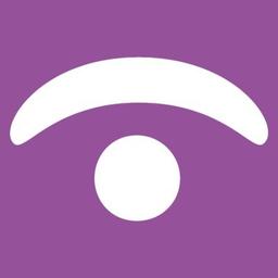 Insight Executive Group (IEG) Logo