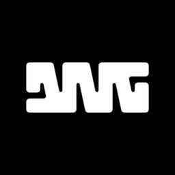 DNG - The Consumer Consulting Firm Logo