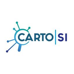 Carto-SI Logo