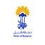 Palm Of Babylon- POB Logo