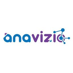Anavizio Logo