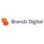 Brandz Digital Marketing Agency Logo
