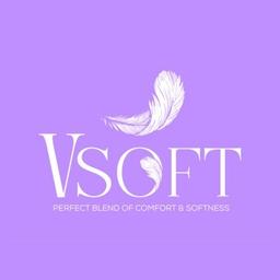 V Soft Logo