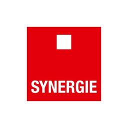 Synergie Italia Logo