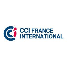 CCI France International Logo