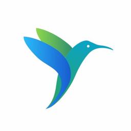 Birdmorning Solutions Pvt. Ltd. Logo