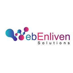 WebEnliven Solutions Logo