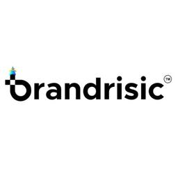 Brandrisic Media Pvt Ltd Logo