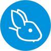 Blue Rabbit™ - Branding Agency Logo