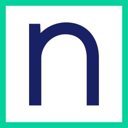 NETINSHAPE Logo
