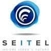 Seitel Logo