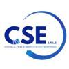 CSE Consulting & Service Enterprise Logo