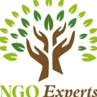 NgoExperts Logo