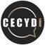Cecydi I Branding & Digital Communication Agency Logo