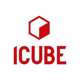 ICUBE SA Logo