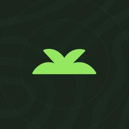 Yungle Webflow Experts Logo