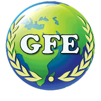 GFE Business Services Pvt. Ltd. Logo