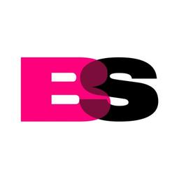 BANNERSTUNTER.NL Logo