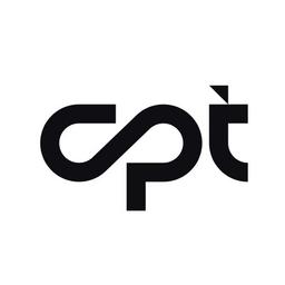 Cyber Palm Tree Logo