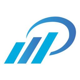 Paluhost Web Services Logo