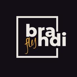 Brandifly Logo