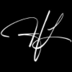 Holger Lentz Consulting GmbH Logo