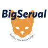 BigServal Logo