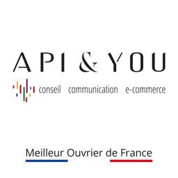 API & YOU Agence Conseil Communication E-commerce Logo