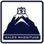 Sales Magnitude Logo