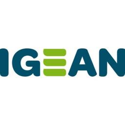 IGEAN Logo