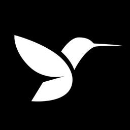 Hummingbirds BV Logo