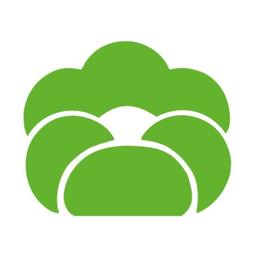 AIYA Matcha • Refining the Taste of Life Logo