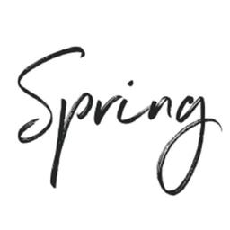 Spring Interactive Logo