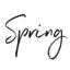 Spring Interactive Logo