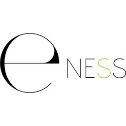 E-Ness Web Agency Logo