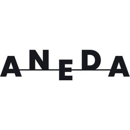 ANEDA Design Studio Logo