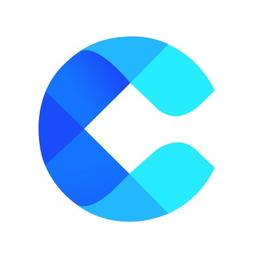 CodeBudee Solutions - Custom Web and Mobile Software Development Company Logo