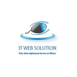 IT Web Solution Logo
