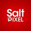 Salt & Pixel Company Limited Logo