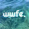 WWFE COMMUNICATION Logo