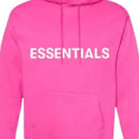 Essential Hoodie Logo