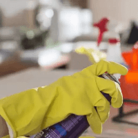 Seopauls Cleanking Logo