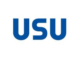 USU Solutions International Logo