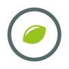 LIMESODA Logo