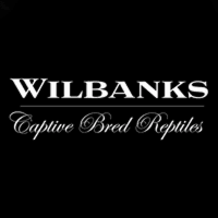 Wilbanks Captive Bred Reptiles Logo