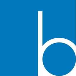 Basic Technology Software LTD Logo