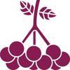Kalynonka Logo