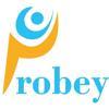 Probey Services Logo
