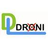 DL Droni Logo