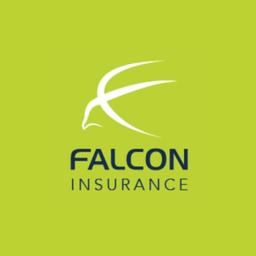 Falcon Insurance Logo